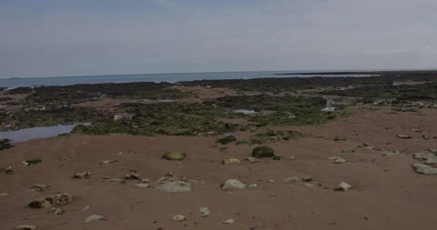 Wide panning shot off the low tide beach at botany Bay with Chalk cliffs. At Stock Footage 331339484