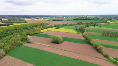 Wide panorama of patchwork farm fields stretching to a flat horizon under soft Stock Footage 347017585