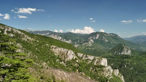 Wide panoramic reverse flight in Bosnian mountains with Bosnian black pines Stock Footage 294953769