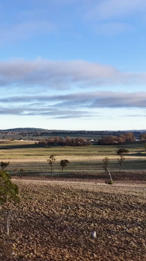Wide Panoramic View of Dry Australian Outback Countryside Landscape Vidéo 344615951