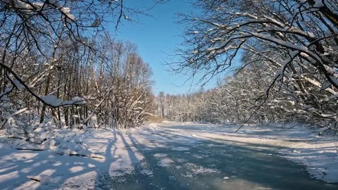 Wide Panoramic View of Frozen Cernica Lake Stock Footage 318525745
