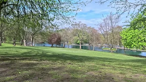 Wide panoramic view of green fields and blue sky in Lister Park, UK Stock Footage 333072373