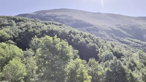 Wide panoramic view of a mountain dominated by a dense green forest Stock Footage 345037355