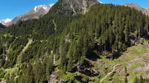 Wide Panoramic View over Mountain Forest and Valley Ridge Stock Footage 343068340