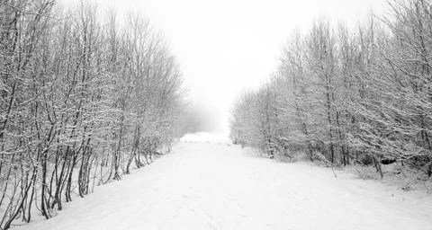 A wide path in winter outside Stock Photos