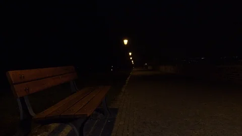 A wide paved pathway through a park in an urban area at night Stock-Footage 109537186