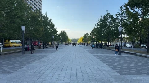 Wide pedestrian boulevard lined with trees in the Marunouchi district of Tokyo Vidéo 336095024