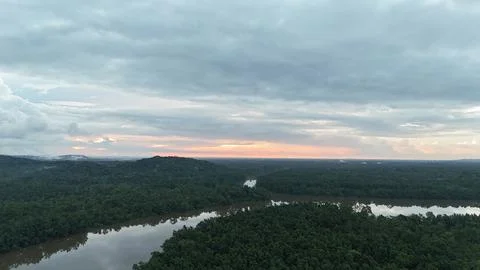 Wide Rainforest River Panorama. Stock Photos