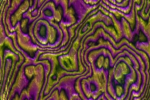 Wide repeating sea nacre  pattern Stock Illustration