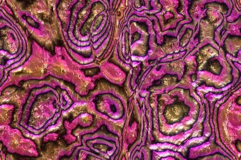 Wide repeating sea nacre  pattern Stock Illustration