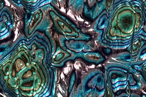 Wide repeating sea nacre  pattern Illustrazione stock