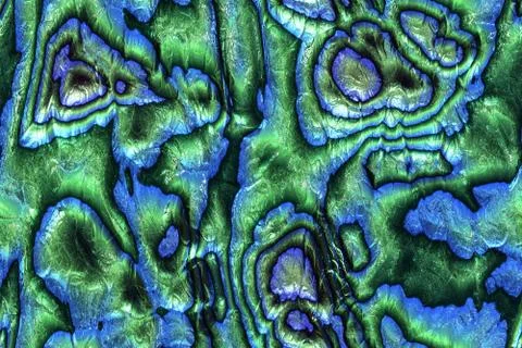 Wide repeating sea nacre  pattern Stock Illustration