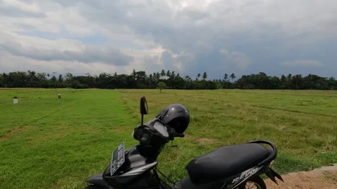 Wide Rice Fields Under Heavy Dark Clouds – Indonesia Stock-Footage 321437197
