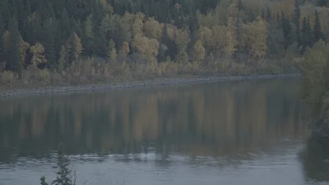 Wide River and Trees Fall Colors Dusk Stock Footage 99838768