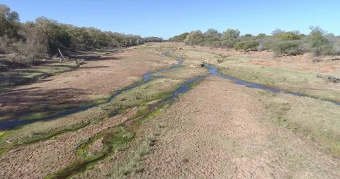 Wide river bed in Botswana with reduced trickles of algae lined streams flow  Stock Footage 95917345