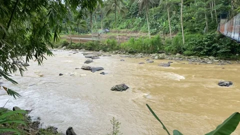Wide river with brown water flow among woods Stock Footage 312399005