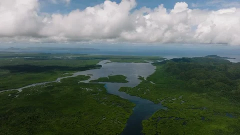 Wide river channels through mangrove forest and hills. Siargao, Philippines. Stock Footage 321981626