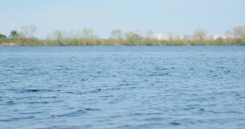 Wide river, fast current in spring. Green trees on the opposite bank. Daytime 動画素材 240826016