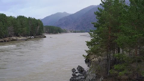 A wide river with a fast flow against the backdrop of mountains and forests Vidéo 89199486