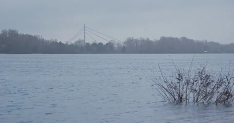 Wide river with fast flow of water. Trees and large bridge in the background Vídeo Stock 237948406