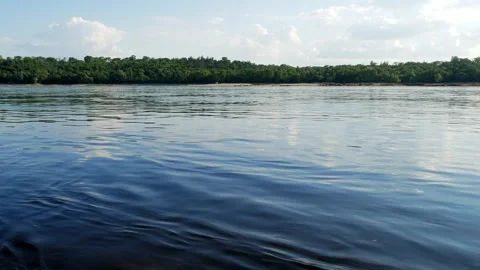 A wide river with a fast flow of water and a forest on the opposite bank Stock Footage 246409843