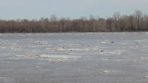 Wide river with floating ice blocks under a clear sky Stock Footage 332434564