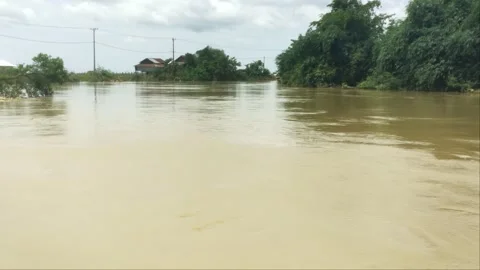 Wide River Flooding with Bamboo Trees and Distant Houses in Countryside Stock Footage 342495409