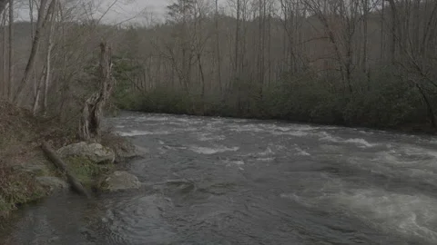 Wide River Flowing on Cloudy Day Stock Footage 168215433