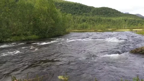 A wide river flows through a natural landscape Stock Footage 321998189