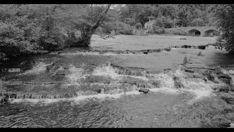 Wide river in a forest landscape Stock Footage 277964824