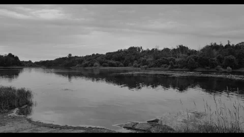 Wide river in a forest landscape Stock Footage 277964974