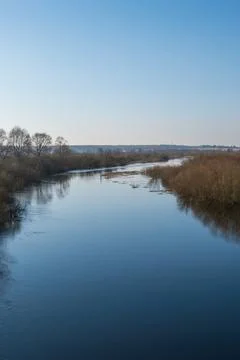 Wide river with leafless trees and reeds under a clear winter sky Stock Photos