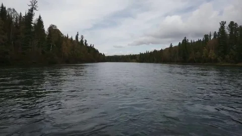 Wide river in the morning Stock Footage 81663882
