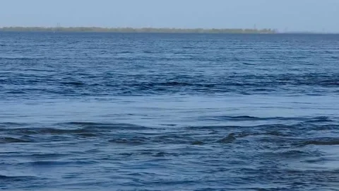 Wide river. Rapid clean flow in national park Stock Footage 310053086