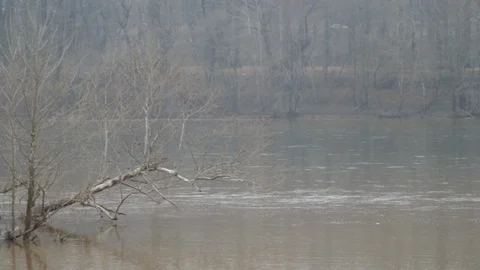 Wide of river rushing passed tree branch in foreground Stock Footage 104465367