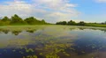 Wide river scenery, traveling, boating at high speed, tourism HD Footage