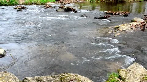 Wide River Shot From Side Stock Footage 8990371