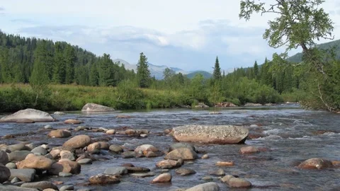 Wide river with stone bottom on sunny summer day. Stock Footage 145889432