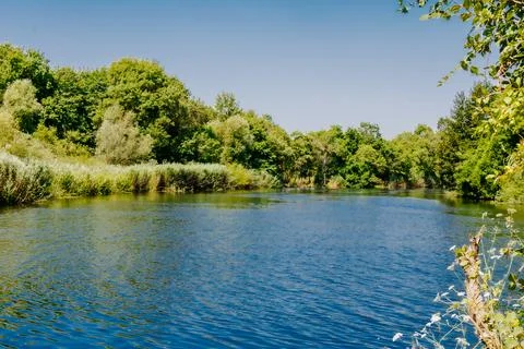 Wide river surrounded by dense green trees Stock Photos
