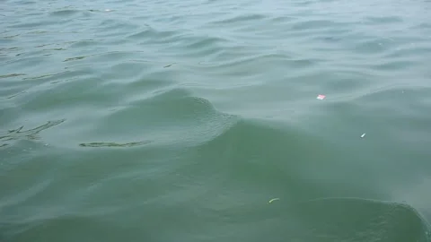 Wide River View from Midstream with Distant Shoreline Stock-Footage 331702740