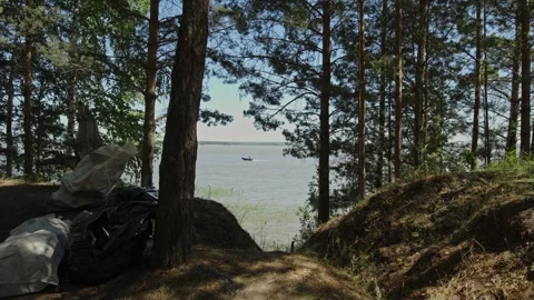 Wide river view through a sunny pine forest on hill Stock Footage 337391312