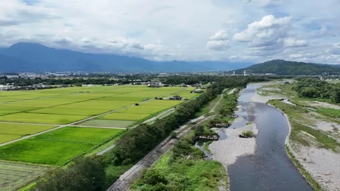 Wide river winds through lush green fields Stock Footage 343257965
