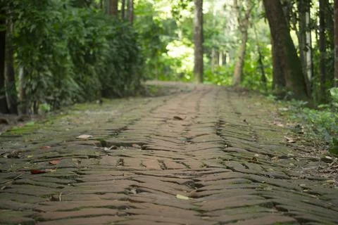 A wide road made of bricks in the middle of green nature. Stock Photos