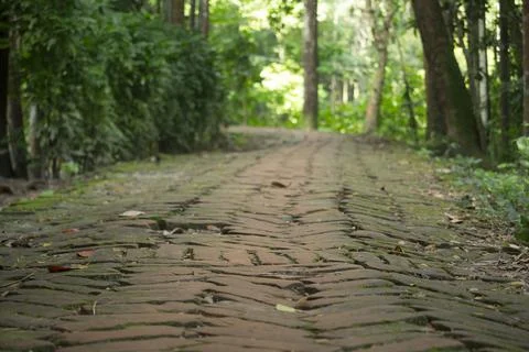 A wide road made of bricks in the middle of green nature Stock Photos