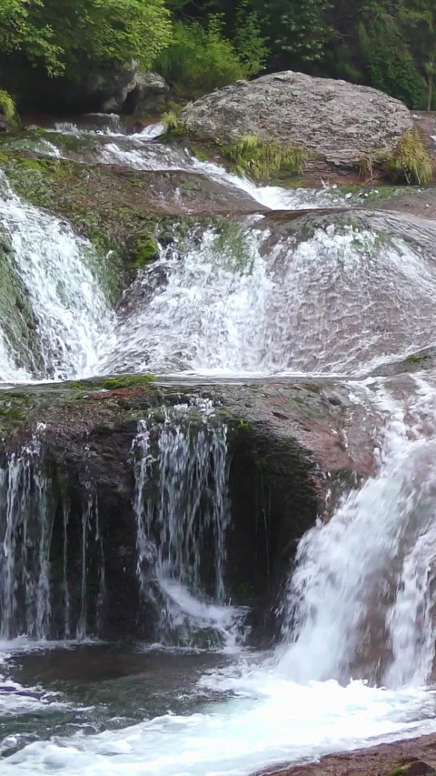 Wide Rock Ledge Cascade in Mossy Gorge Vertical Video Видео 346191704