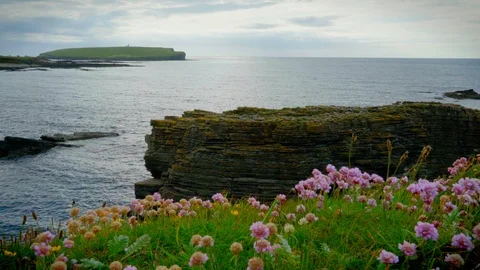 Wide of rocky nesting area for terns in Orkney Scotland with Brough of Birsay Stock Footage 121067278