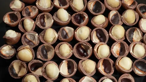 Wide Rotating Pattern of Cracked Macadamia Nuts on Black Background. Stockbeeldmateriaal 332833051