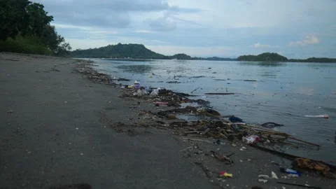 WIDE OF RUBBISH ON BEACH Stock Footage 221303680