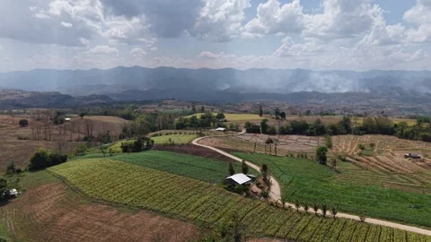 Wide Rural Landscape with Dry Fields and Open Sky Stock Footage 329817714
