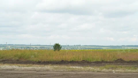 A wide rural landscape with fields under a cloudy sky. Stock Footage 343158605